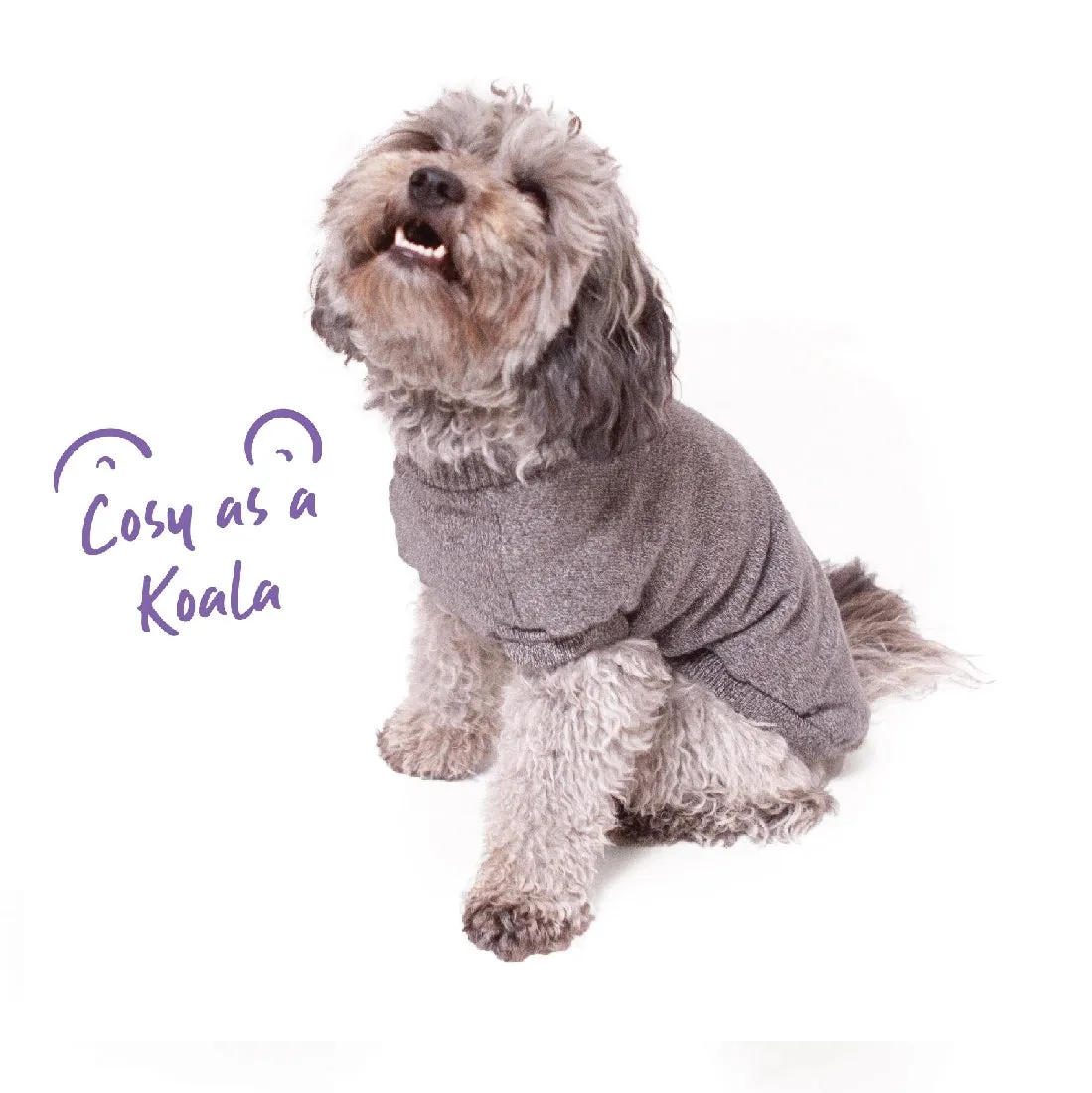 1 Pet X Kazoo Dog Rug Jumper Gumnut Soft Knit Grey