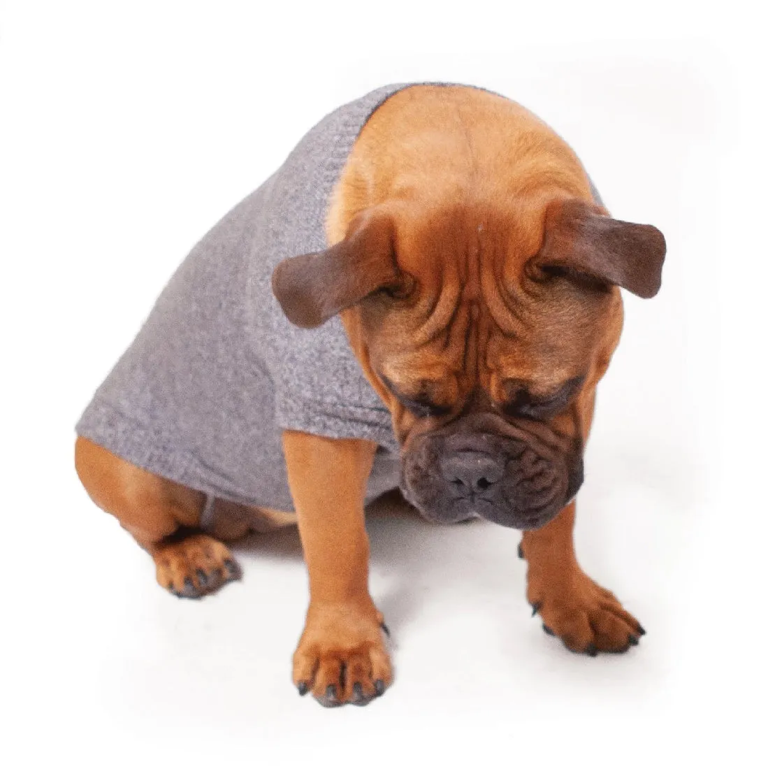 1 Pet X Kazoo Dog Rug Jumper Gumnut Soft Knit Grey