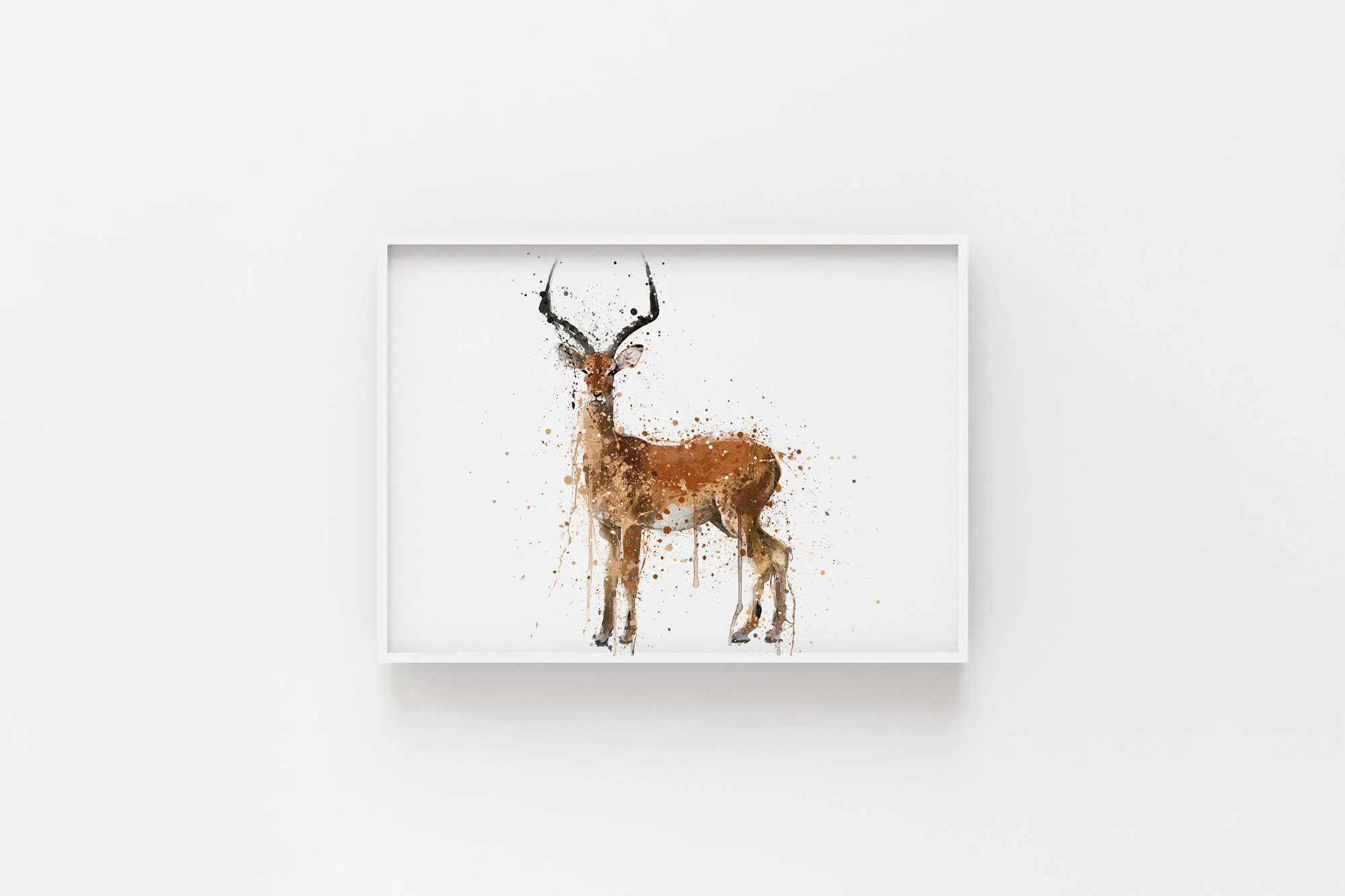 Impala Wall Art Print