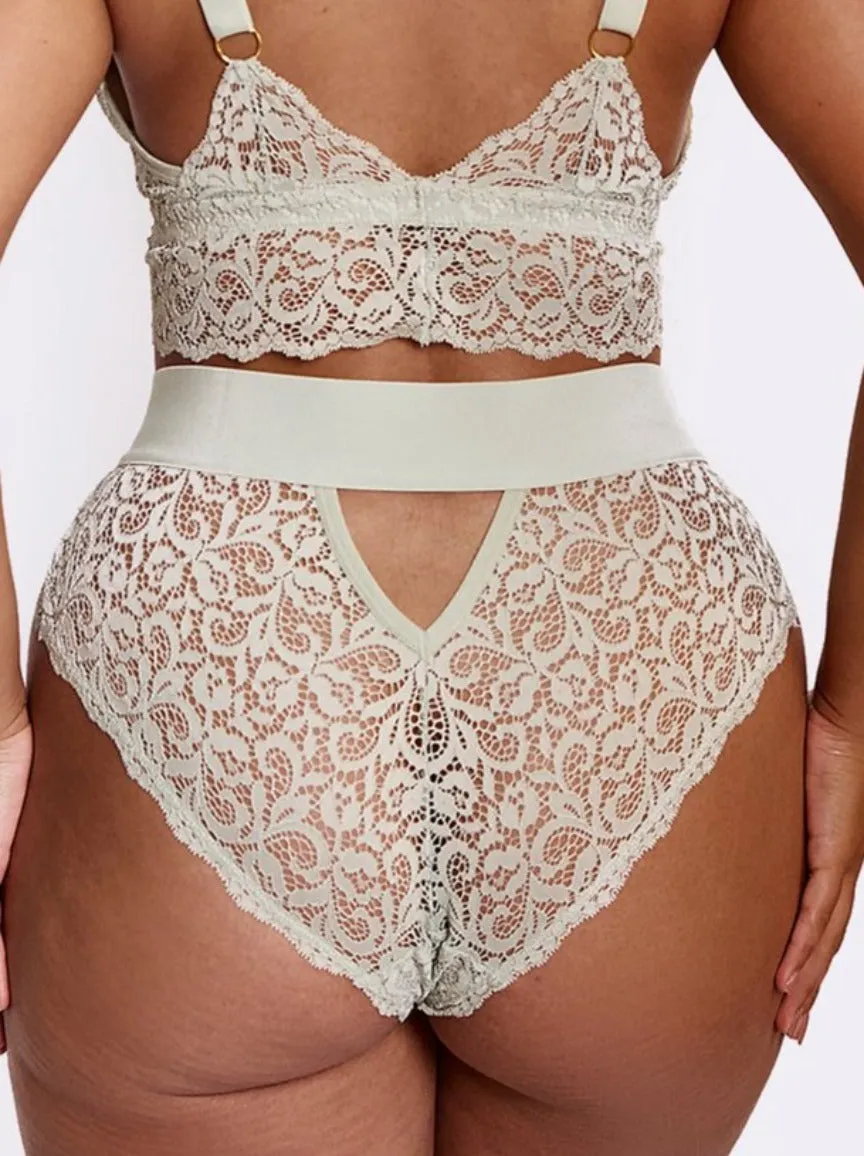 Ivy Brazilian : Silvery Green