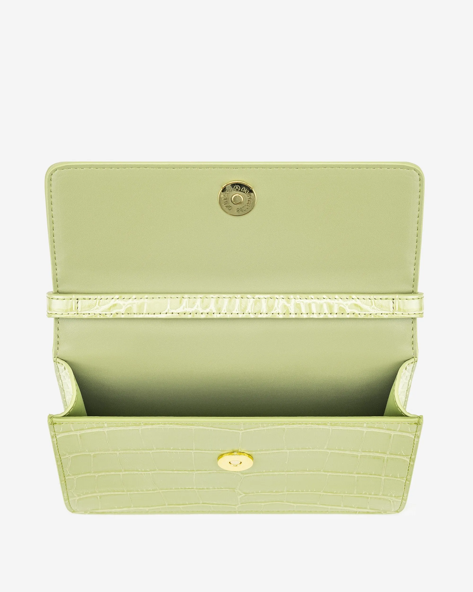 Julia Acrylic Chain Crossbody Bag - Sage Green Croc