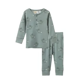 Nature Baby 2 Piece Long Sleeve Pyjamas Cottage Bunny Sage Print