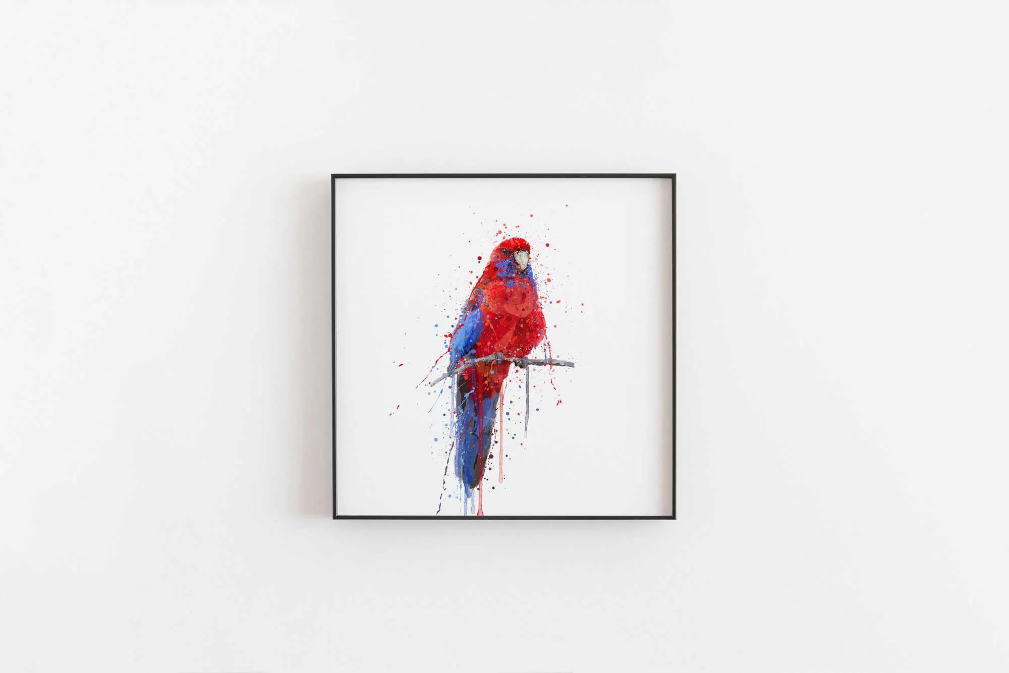 Parrot Wall Art Print ‘Rosella’