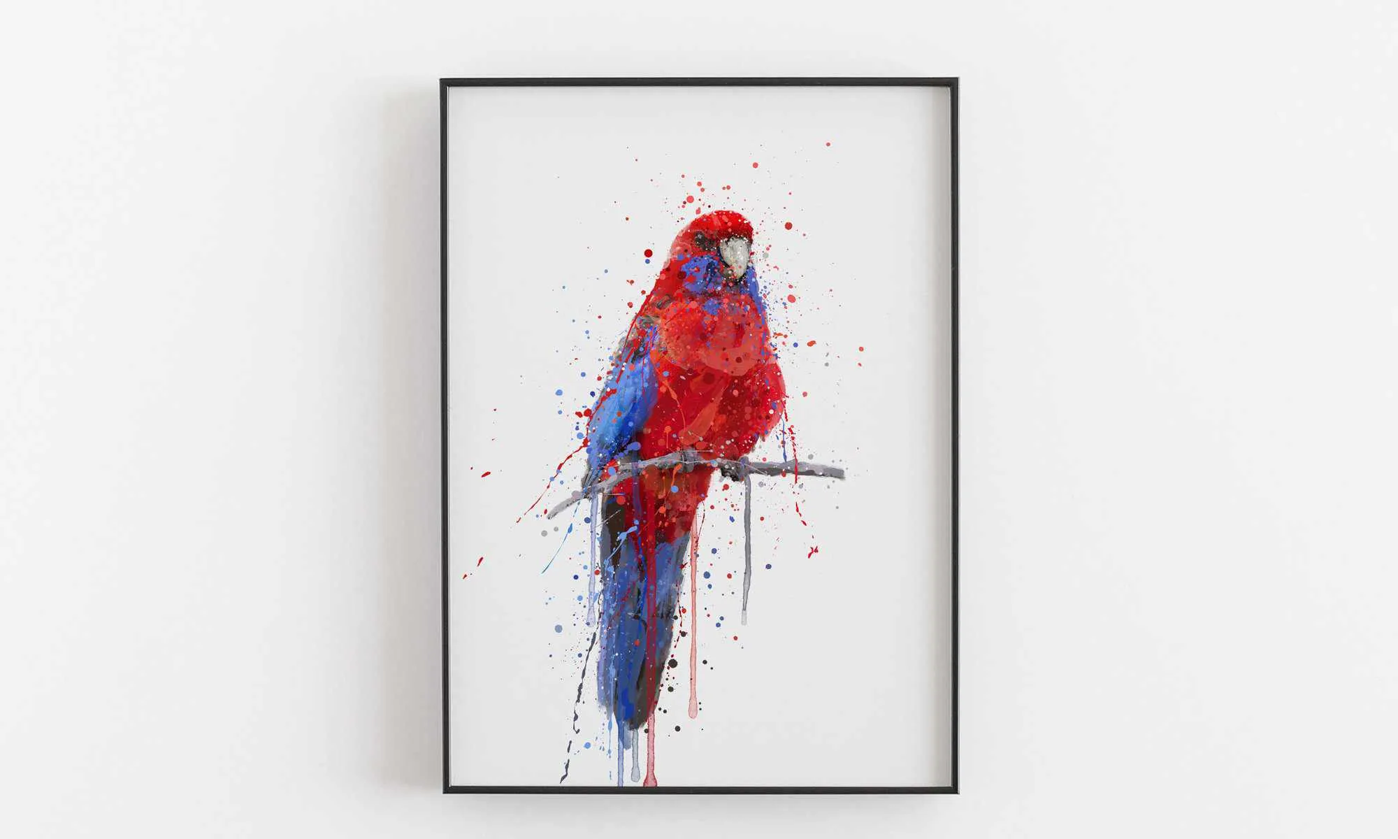 Parrot Wall Art Print ‘Rosella’