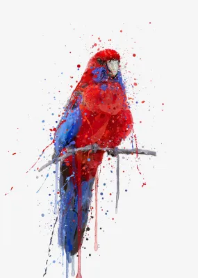 Parrot Wall Art Print ‘Rosella’