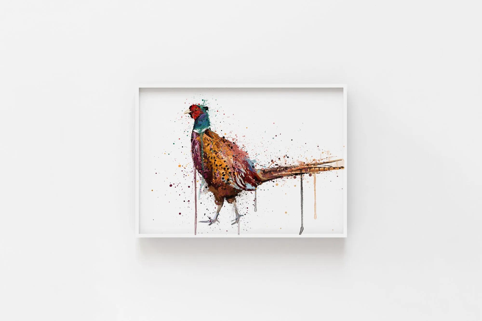 Pheasant Bird Wall Art Print