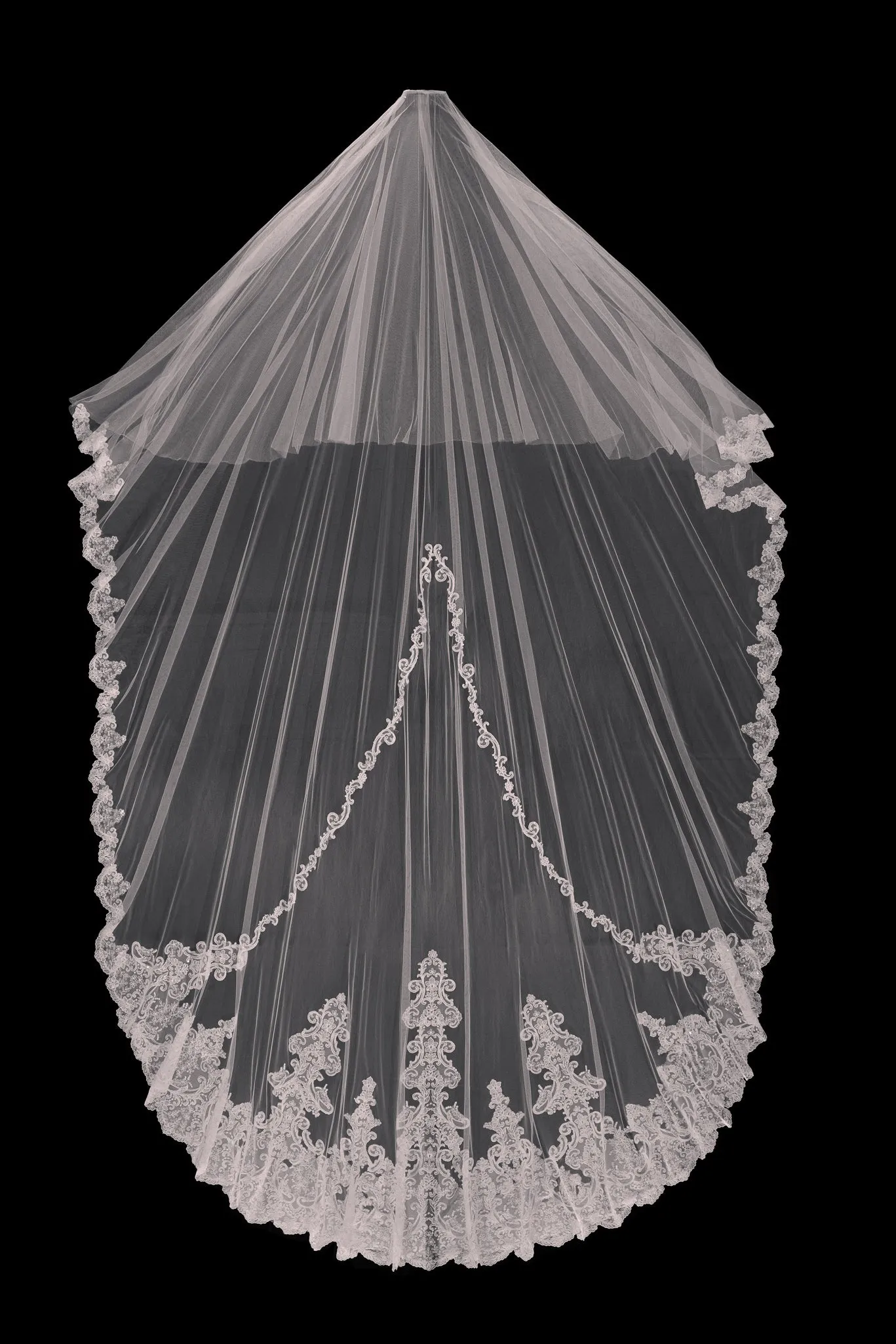 Vibrant Veil