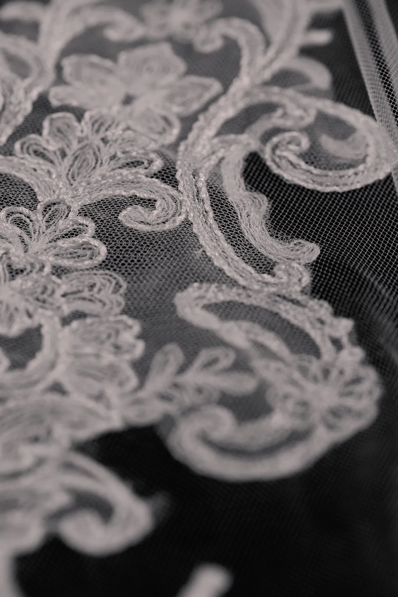 Vibrant Veil